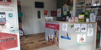 Tienda